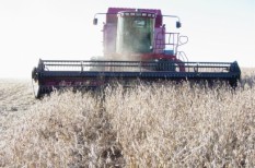agrár, export, magyarország, mezőgazdaság agrár, export, magyarország, mezőgazdaság