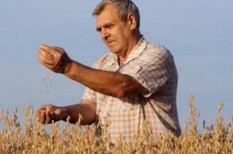 agrár, földtörvény, gazdaságpolitika, mezőgazdaság agrár, földtörvény, gazdaságpolitika, mezőgazdaság