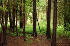 eu, környezetterhelés, környezetvédelem eu, környezetterhelés, környezetvédelem