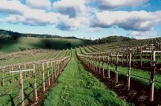 agrár, agrár széchenyi kártya, családi gazdaság, földtörvény, mezőgazdaság agrár, agrár széchenyi kártya, családi gazdaság, földtörvény, mezőgazdaság