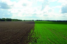 agrár, agrárfinanszírozás, agrárkamara, agrártámogatás, földalap, földtörvény, magyar agrárkamara, mezőgazdaság, osztatlan közös földtulajdon, termőföld agrár, agrárfinanszírozás, agrárkamara, agrártámogatás, földalap, földtörvény, magyar agrárkamara, mezőgazdaság, osztatlan közös földtulajdon, termőföld