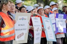 élelmiszeripar, felszámolás, húsipar élelmiszeripar, felszámolás, húsipar