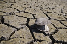 globális felmelegedés, nemzetközi energiaügynökség globális felmelegedés, nemzetközi energiaügynökség