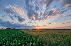 agrártámogatások, kkv pályázat, mezőgazdaság agrártámogatások, kkv pályázat, mezőgazdaság
