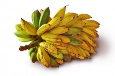 biogazdálkodás, biotermék, egészséges táplálkozás, fairtrade, tudatos fogyasztó, tudatos vásárlás biogazdálkodás, biotermék, egészséges táplálkozás, fairtrade, tudatos fogyasztó, tudatos vásárlás