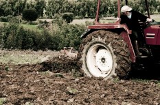 agrár, agrár pályázat, agrárkamara, agrártámogatások, állami földek, települések agrár, agrár pályázat, agrárkamara, agrártámogatások, állami földek, települések