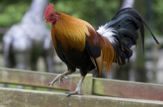 cégvezetés, hatékony cégvezetés, időgazdálkodás cégvezetés, hatékony cégvezetés, időgazdálkodás