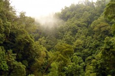 amazonas, bányászat, bírság, bolsonaro, brazil enök, brazília, esőerdő, farmer, föld tüdeje, jair bolsonaro, klímaváltozás, környezetvédelmi terület, mezőgazda, populista, rezervátum, tiltakozás amazonas, bányászat, bírság, bolsonaro, brazil enök, brazília, esőerdő, farmer, föld tüdeje, jair bolsonaro, klímaváltozás, környezetvédelmi terület, mezőgazda, populista, rezervátum, tiltakozás