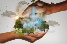 amazonas, biodiverzitás, biológia, biológiai sokszínűség, dominó effektus, dominóhatás, erdőirtás, fajpusztulás, gyorsaság, jégtakaró, kihalás, kipusztulás, korall, óceán, ökoszisztéma, savasodás, tengerszint-emelkedés, természetvédelem, tudomány, veszélyeztetett fajok amazonas, biodiverzitás, biológia, biológiai sokszínűség, dominó effektus, dominóhatás, erdőirtás, fajpusztulás, gyorsaság, jégtakaró, kihalás, kipusztulás, korall, óceán, ökoszisztéma, savasodás, tengerszint-emelkedés, természetvédelem, tudomány, veszélyeztetett fajok