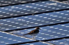 bge, Budapesti Gazdasági Egyetem, egyetem, napelem, napenergia bge, Budapesti Gazdasági Egyetem, egyetem, napelem, napenergia