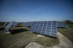megújuló energia, mezőgazdaság, napenergia, termőföld megújuló energia, mezőgazdaság, napenergia, termőföld
