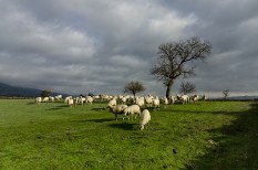 környezetvédelem, nemzeti földalap, termőföld környezetvédelem, nemzeti földalap, termőföld