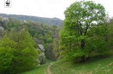 fenntarthatóság, környezetvédelem, normafa fenntarthatóság, környezetvédelem, normafa