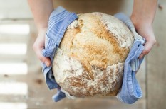 egészségügy, gmo, gmo-növények, klímaváltozás, mezőgazdaság, precíziós gazdálkodás, tudomány egészségügy, gmo, gmo-növények, klímaváltozás, mezőgazdaság, precíziós gazdálkodás, tudomány