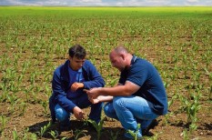 képzés, magyar agrárkamara, mezőgazdaság, munkaerőhiány, szakemberhiány képzés, magyar agrárkamara, mezőgazdaság, munkaerőhiány, szakemberhiány
