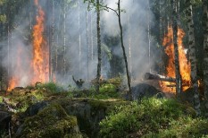 agrár, csokoládé, csr, erdőirtás, fogyasztási cikk, indonézia, karbon, klímaváltozás, mezőgazdaság, minősítés, növényi olaj, önszabályozás, pálmaolaj, tudatos fogyasztóű, tudatos vásárló, ültetvény, üvegházgáz agrár, csokoládé, csr, erdőirtás, fogyasztási cikk, indonézia, karbon, klímaváltozás, mezőgazdaság, minősítés, növényi olaj, önszabályozás, pálmaolaj, tudatos fogyasztóű, tudatos vásárló, ültetvény, üvegházgáz