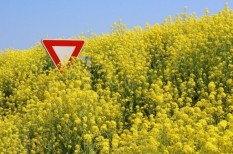 címke, csomagolás, élelmiszer, génmódosított, gmo, mezőgazdaság címke, csomagolás, élelmiszer, génmódosított, gmo, mezőgazdaság