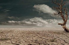 aszály, biodiverzitás, élelmiszerhiány, élelmiszertermelés, elvándorlás, ensz, Északi-sark, fajpusztulás, gerinces, globális felmelegedés, IPCC, kánikula, klímamenekült, klímaváltozás, kockázat, korall, menekült, migráns, ökoszisztéma, tengerszintemelkedés, veszély aszály, biodiverzitás, élelmiszerhiány, élelmiszertermelés, elvándorlás, ensz, Északi-sark, fajpusztulás, gerinces, globális felmelegedés, IPCC, kánikula, klímamenekült, klímaváltozás, kockázat, korall, menekült, migráns, ökoszisztéma, tengerszintemelkedés, veszély