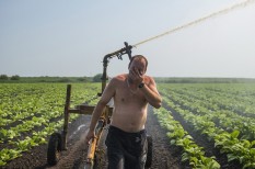 agrárium, agrártámogatás, mezőgazdaság, öntözés agrárium, agrártámogatás, mezőgazdaság, öntözés