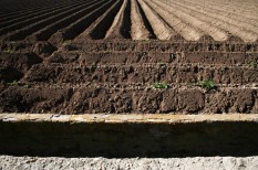 jogszabályváltozás, mezőgazdaság, termőföld jogszabályváltozás, mezőgazdaság, termőföld