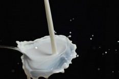 nébih, szennyezés, tej, visszahívás nébih, szennyezés, tej, visszahívás