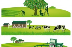 agrár, agrártámogatás, kkv pályázatok, mezőgazdasági biztosítás, pályázat agrár, agrártámogatás, kkv pályázatok, mezőgazdasági biztosítás, pályázat