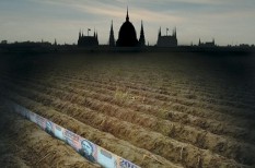 agrárbiztosítás, agrártámogatás, állami támogatás, kárenyhítés, mezőgazdasági biztosítás agrárbiztosítás, agrártámogatás, állami támogatás, kárenyhítés, mezőgazdasági biztosítás
