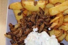 Berlin, döner, európai unió, gyorsétterem, gyros, kebap, török étel Berlin, döner, európai unió, gyorsétterem, gyros, kebap, török étel