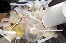 állattenyésztés, állatvédő, csirke, csomagolás, éghajlatváltozás, élelmiszer, fast food, gyorsétterem, hamburger, klímaváltozás, környezetkímélő, kritika, marhatenyésztés, műanyag, óceán, plasztikszemét, tenger, zöld vállalat állattenyésztés, állatvédő, csirke, csomagolás, éghajlatváltozás, élelmiszer, fast food, gyorsétterem, hamburger, klímaváltozás, környezetkímélő, kritika, marhatenyésztés, műanyag, óceán, plasztikszemét, tenger, zöld vállalat