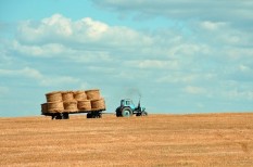 agrártámogatás, beruházás, hatékonyságnövelés, költségcsökkentés, mezőgazdaság, uniós források agrártámogatás, beruházás, hatékonyságnövelés, költségcsökkentés, mezőgazdaság, uniós források