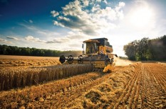 agrárexport, agrárium, célcsoportok, kkv, külpiaci megjelenés, mezőgazdaság agrárexport, agrárium, célcsoportok, kkv, külpiaci megjelenés, mezőgazdaság