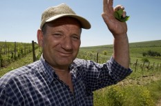 agrártámogatás, költségcsökkentés, mezőgazdaság, őstermelő agrártámogatás, költségcsökkentés, mezőgazdaság, őstermelő