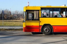 busz busz