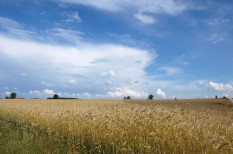 európai bíróság, földtörvény, uniós szabályozás európai bíróság, földtörvény, uniós szabályozás