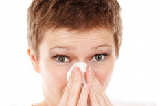 allergia, egészségügy, fenntarthatóság, globális felmelegedés, klímaváltozás, pollen allergia, egészségügy, fenntarthatóság, globális felmelegedés, klímaváltozás, pollen