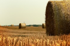 agrárium, beruházás, hatékonyságnövelés, mezőgazdaság, versenyképesség agrárium, beruházás, hatékonyságnövelés, mezőgazdaság, versenyképesség