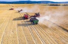 agrárinformatika, informatika, képzés, megfosz, mezőgazdaság, mezőgépész agrárinformatika, informatika, képzés, megfosz, mezőgazdaság, mezőgépész