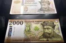 2000, 5000, bankjegy, forint, magyar nemzeti bank, mnb 2000, 5000, bankjegy, forint, magyar nemzeti bank, mnb