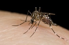 agrárium, al gore, árvíz, aszály, egészség, élelmiszer, élelmiszernövény, globális felmelegedés, halál, kánikula, klímaváltozás, mezőgazdaság, szárazság, szélsőséges időjárás, tudomány agrárium, al gore, árvíz, aszály, egészség, élelmiszer, élelmiszernövény, globális felmelegedés, halál, kánikula, klímaváltozás, mezőgazdaság, szárazság, szélsőséges időjárás, tudomány