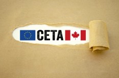 agrárium, ceta, családi gazdaság, európai parlament, európai unió, génmódosítás, gmo, gmo mentesség, kanada, mezőgazdaság, szabadkereskedelmi megállapodás, ttip, vámmentesség, vámunió, világgazdaság agrárium, ceta, családi gazdaság, európai parlament, európai unió, génmódosítás, gmo, gmo mentesség, kanada, mezőgazdaság, szabadkereskedelmi megállapodás, ttip, vámmentesség, vámunió, világgazdaság
