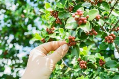befektetés, nyersanyag, pénzpiac, részvények, üzleti kockázatok befektetés, nyersanyag, pénzpiac, részvények, üzleti kockázatok