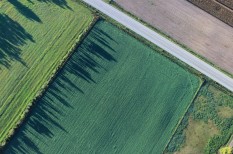 állami föld, mezőgazdaság, mezőgazdasági árak, szántó, termőföld, tolna állami föld, mezőgazdaság, mezőgazdasági árak, szántó, termőföld, tolna
