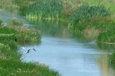 balaton, duna, exportbővítés, felújítás, kerékpár, kerékpárút, piacesprofit, sió-csatorna, vízi út balaton, duna, exportbővítés, felújítás, kerékpár, kerékpárút, piacesprofit, sió-csatorna, vízi út