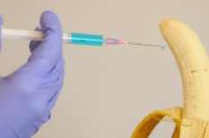 agrár, basf, bayer, bíróság, döntés, élelmiszernövény, európai unió, génmódosított, génszerkesztés, gmo, jog, lobbizás, luxemburg, mezőgazdaság, növény, szabályozás, technológia, uniós jog, vegyipar agrár, basf, bayer, bíróság, döntés, élelmiszernövény, európai unió, génmódosított, génszerkesztés, gmo, jog, lobbizás, luxemburg, mezőgazdaság, növény, szabályozás, technológia, uniós jog, vegyipar