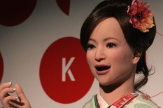 kirándulóhajó, robot, szálloda, szolgáltatás kirándulóhajó, robot, szálloda, szolgáltatás