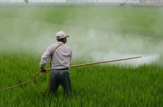 bayer, glifozát, kártérítés, monsanto, nyereség, per bayer, glifozát, kártérítés, monsanto, nyereség, per