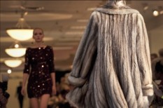 állat, állatvédő, bunda, divat, etikus, fast fashion, gap, h&m, kampány, nyomás, prém, szőrme, versace, zara állat, állatvédő, bunda, divat, etikus, fast fashion, gap, h&m, kampány, nyomás, prém, szőrme, versace, zara