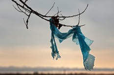 betilt, csomagolás, edény, eu, európai unió, fogyasztás, környezetszennyezés, műanyag, óceán, plasztik, szívószál, tálca, tenger betilt, csomagolás, edény, eu, európai unió, fogyasztás, környezetszennyezés, műanyag, óceán, plasztik, szívószál, tálca, tenger