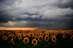 amerika, áramszolgáltató, aszály, csapadék, esőcsinálás, felhő, felhőmanipulálás, időjárás, időjárásmódosítás, innováció, kánikula, klímaváltozás, meteorológia, usa, vízerőmű amerika, áramszolgáltató, aszály, csapadék, esőcsinálás, felhő, felhőmanipulálás, időjárás, időjárásmódosítás, innováció, kánikula, klímaváltozás, meteorológia, usa, vízerőmű