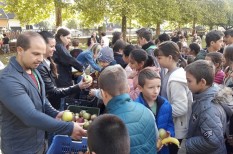 csr, felelős vállalat csr, felelős vállalat